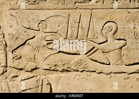 Hieroglyphe im Niltal Luxor Tempel Luxor Ägypten Stockfoto