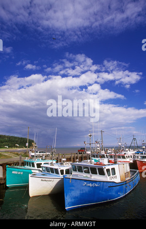 Die Bay Of Fundy, mit Fishboats, Alma, New Brunswick, Kanada. Stockfoto