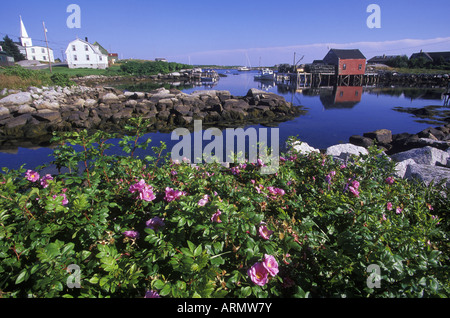 Aussicht, ein kleines Fischerdorf in der Nähe von Halifax, Nova Scotia, Kanada. Stockfoto