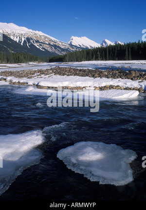 Athabasca River, im Frühling, Alberta, Kanada. Stockfoto