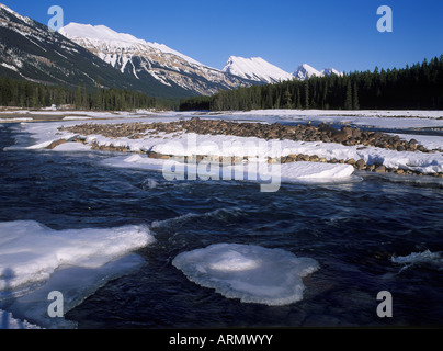 Athabasca River, im Frühling, Alberta, Kanada. Stockfoto