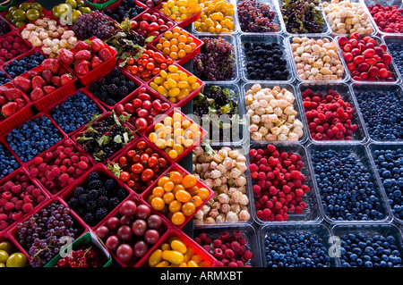 Jean Talon Market, frische Beeren auf dem Display, Montreal, Quebec, Kanada. Stockfoto