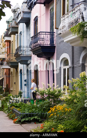 Wohnstraße im Quartier Latin, typisch für Zeile Wohnungs- und Straße Gärten in der Stadt, Montreal, Quebec, Kanada. Stockfoto