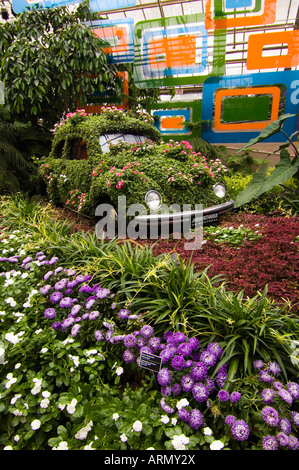 Saisonale Display in botanischen Gärten, Montreal, Quebec, Kanada. Stockfoto