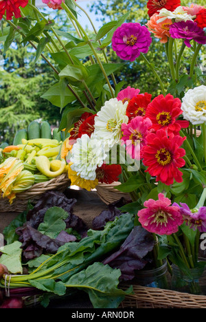 Blumen am Markt Saltspring Island am Samstag, Gulf Islands, British Columbia, Kanada. Stockfoto