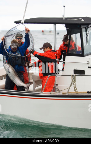 Sportfischen auf Langara Island Lodge, Queen Charlotte Islands, British Columbia, Kanada. Stockfoto