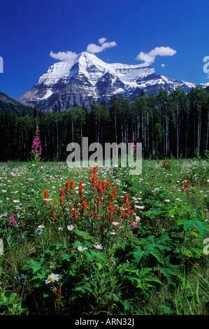 Mount Robson, 3954 M höchste Berg in den kanadischen Rocky Mountains, British Columbia, Kanada. Stockfoto