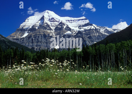 Mount Robson, 3954 M höchste Berg in den kanadischen Rocky Mountains, British Columbia, Kanada. Stockfoto