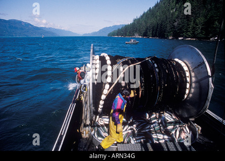 Sockeye Fischen durch Nisgaa mit Seine Boot, British Columbia, Kanada. Stockfoto