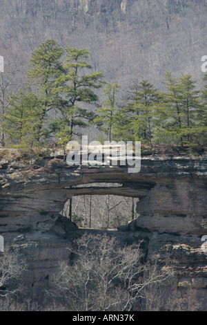 Red River Gorge doppelten Bogen Daniel Boone National Forest kentucky Stockfoto