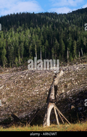 Eingang zum Carmanah Walbran Provincial Park, ökologische Skulptur, Carmanah Valley, Vancouver Island, British Columbia, Cana Stockfoto