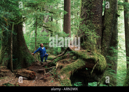 Weg im alten Wald, Carmanah Valley, Vancouver Island, British Columbia, Kanada. Stockfoto