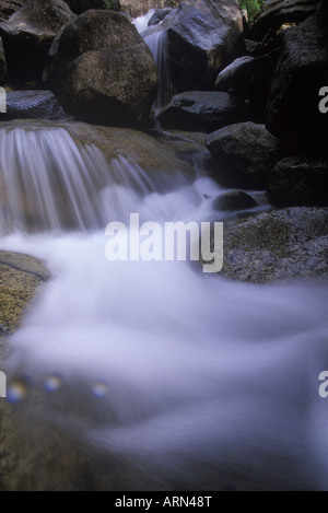 Frisches Wasser über Granitfelsen, Shannon Falls Park, Squamish, British Columbia, Kanada. Stockfoto