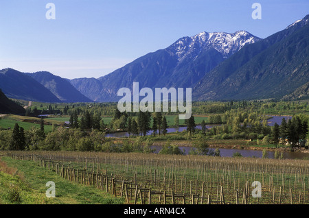 Weingut entlang Similkameen River Valley, South Okanagan, British Columbia, Kanada. Stockfoto