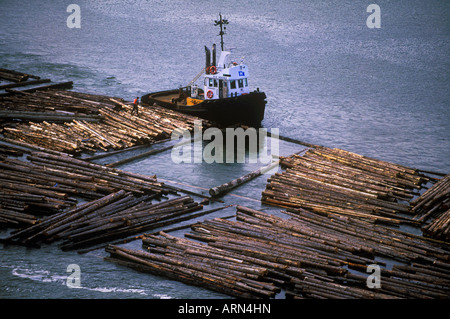 Log-Ausleger am Okanagan Lake in Kelowna, British Columbia, Kanada. Stockfoto