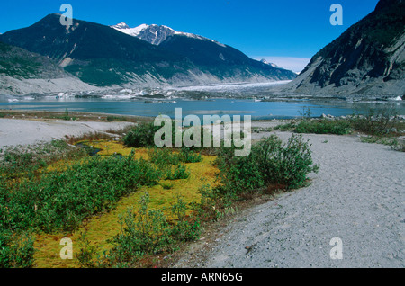 Coast Range, Klinaklini Gletscher, Nimmo Bay Heli Ventures, British Columbia, Kanada. Stockfoto