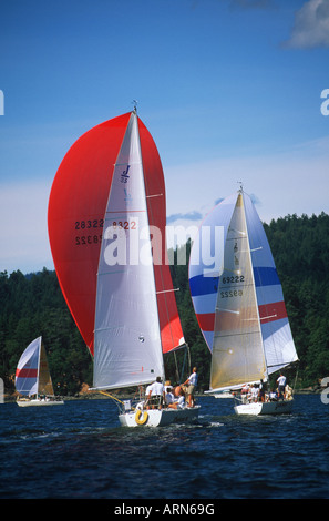 Freizeit Segeln in der Nähe von Cowichan Bay, Vancouver Island, British Columbia, Kanada. Stockfoto