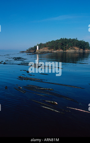 Gulf Islands, Rum Island, British Columbia, Kanada. Stockfoto