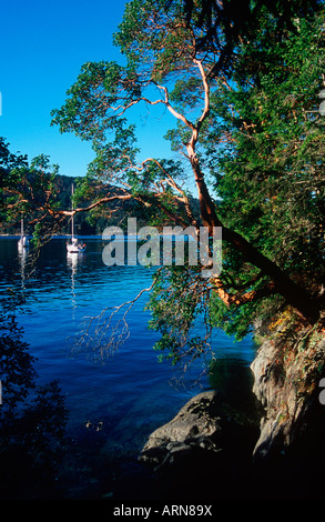 Boote in Gulf Islands National Park, in der Nähe von Saltspring, British Columbia, Kanada, Arbutus, Russell Insel verankert. Stockfoto