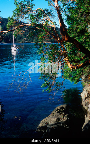 Boote in Gulf Islands National Park, in der Nähe von Saltspring, British Columbia, Kanada, Arbutus, Russell Insel verankert. Stockfoto