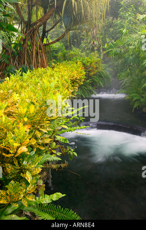 Strom fließt durch Tabacon Hot Spring Resort &amp; Spa Costa Rica Stockfoto