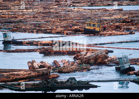 Meer - boomenden Boote bewegen, British Columbia, Kanada einloggen Ausleger. Stockfoto