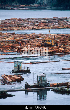 Meer - boomenden Boote bewegen, British Columbia, Kanada einloggen Ausleger. Stockfoto