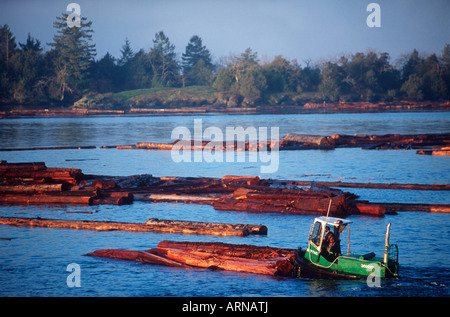 Meer - boomenden Boote bewegen, Ladysmith, British Columbia, Kanada einloggen Ausleger. Stockfoto