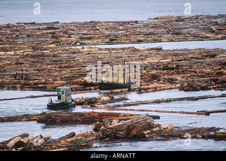 Meer - boomenden Boote bewegen, British Columbia, Kanada einloggen Ausleger. Stockfoto