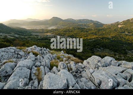 Karstgebirge im Lovcen Nationalpark, Montenegro Stockfoto