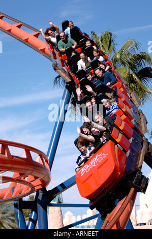 Der Scorpion Achterbahn bei Busch Gardens Tampa Florida USA mit Nervenkitzel an Bord genießen die Fahrt Stockfoto