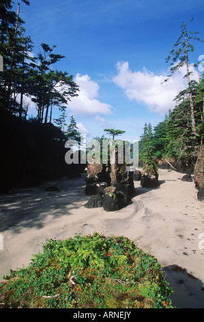 San Joseph Bay, Cape Scott Provincial Park, Felsnadeln, Vancouver Island, British Columbia, Kanada. Stockfoto