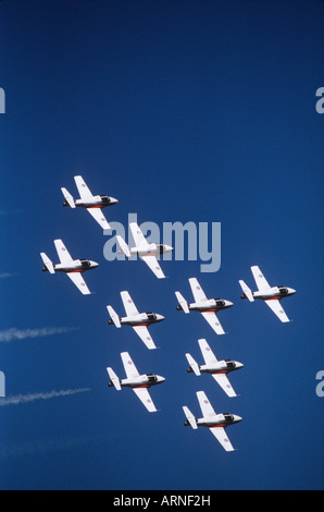 Kanada, Streitkräfte Präzision fliegen team "Snowbirds", British Columbia, Kanada. Stockfoto
