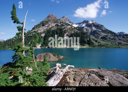 Strathcona Provincial Park, Mt Septimus und Sahne See, Vancouver Island, British Columbia, Kanada. Stockfoto