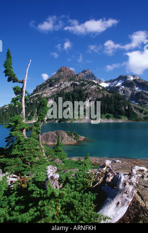 Strathcona Provincial Park, Mt Septimus und Sahne See, Vancouver Island, British Columbia, Kanada. Stockfoto