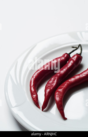 Red Chili Peppers auf einer Platte gegen einen weißen Hintergrund Capsicum Annum Stockfoto