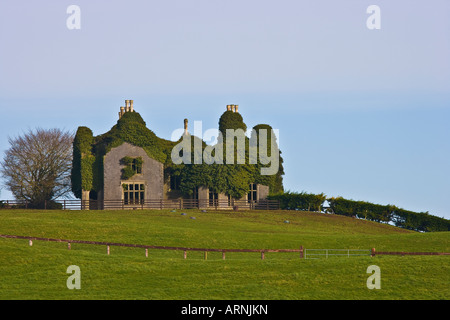 Großes verderbtes Tudor-Haus Stockfoto