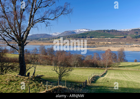 Die Insh Sümpfe RSPB Bird Reserve Badenoch und Streathspey Inverness-shire Stockfoto