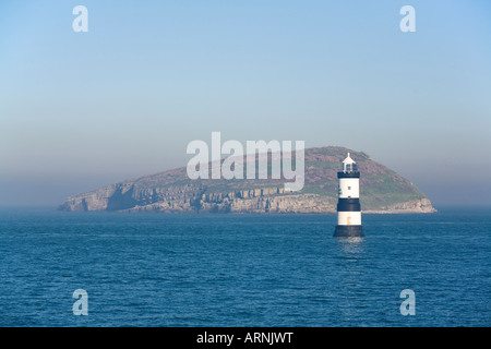 Trwyn Du Leuchtturm & Puffin Insel Anglesey, Wales Stockfoto