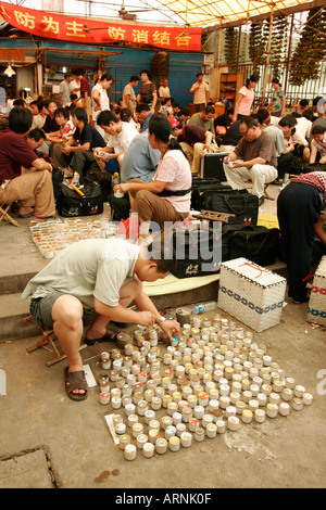 Bekämpfung von Grillen, Fisch, Vogel und Insekt-Markt in Shanghai China verkauft Stockfoto