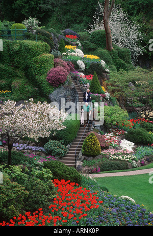 Butchart Gardens, Frühlingsblume zeigen auf Steingarten, Victoria, Vancouver Island, British Columbia, Kanada. Stockfoto