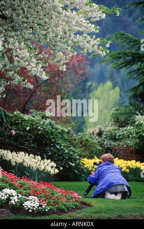 Butchart Gardens, Frau Fotos Frühling Blume Display, Victoria, Vancouver Island, British Columbia, Kanada. Stockfoto