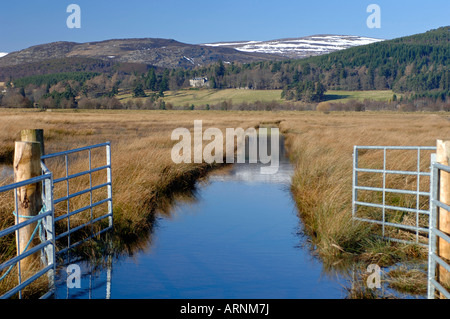Überschwemmten Wiesen auf die Insh Sümpfe RSPB Bird Reserve Badenoch und Strathspey Stockfoto