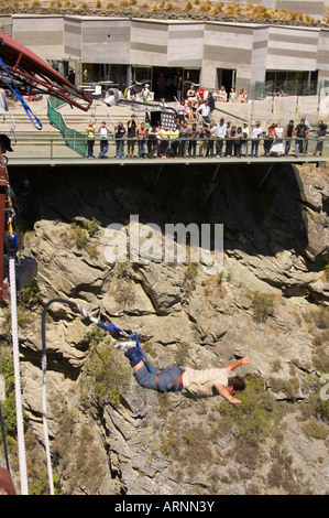 Mann, Bungy Jumping, AJ Hackett Queenstown Neuseeland Stockfoto