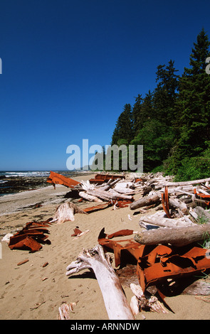 West Coast Trail, verrosteten Schiff Wrack Trümmer auf Strand, Vancouver Island, British Columbia, Kanada. Stockfoto