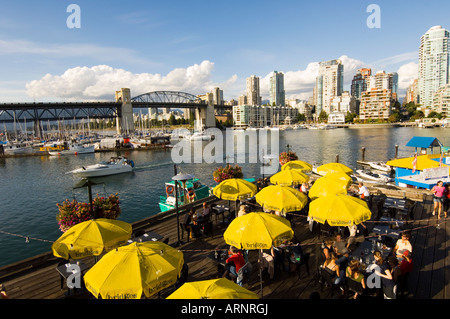 False Creek Innenhof voller Sommer Nachtschwärmer, Britisch-Kolumbien, Kanada. Stockfoto