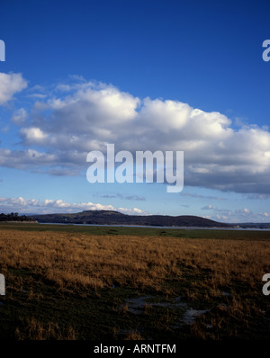 Salzwiesen und Mündung des The River Kent Grange-über-Sande Arnside Knott in Ferne Morecambe Bay Cumbria England Stockfoto