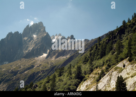 Les Grandes Jorasses im Sommer. Montenvers. Französische Alpen. Rhône-Alpes. Haute Savoie. Frankreich Stockfoto