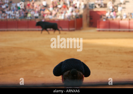 Matador am Plaza de Toros De La Maestranza Sevilla Andalusien Andalusien Spanien Espana sevilla Stockfoto