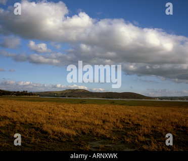 Salzwiesen und Mündung des The River Kent Grange-über-Sande Arnside Knott in Ferne Morecambe Bay Cumbria England Stockfoto